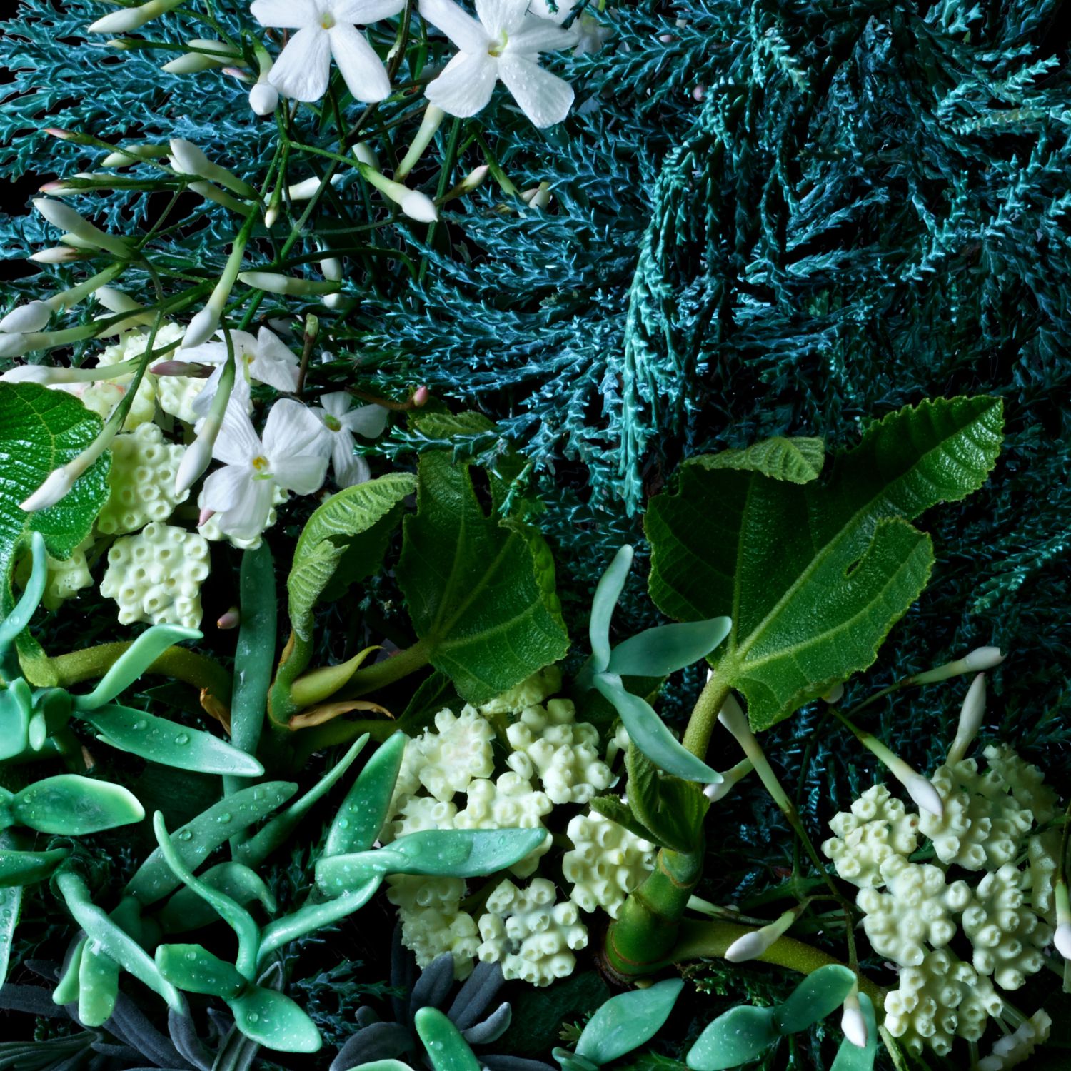 Coastal Cypress & Sea Fennel Bath Salts
