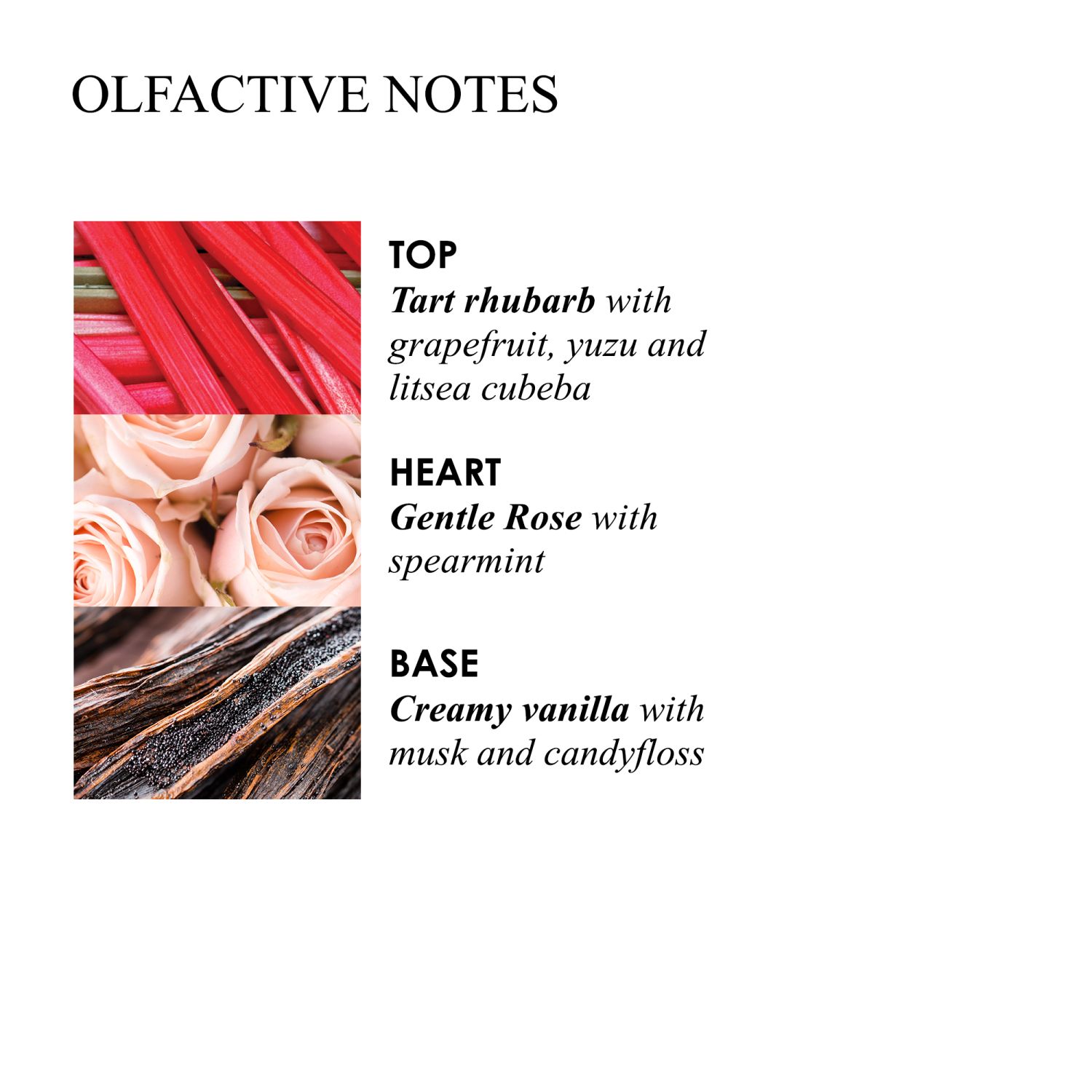 Delicious Rhubarb & Rose Raumduftspender