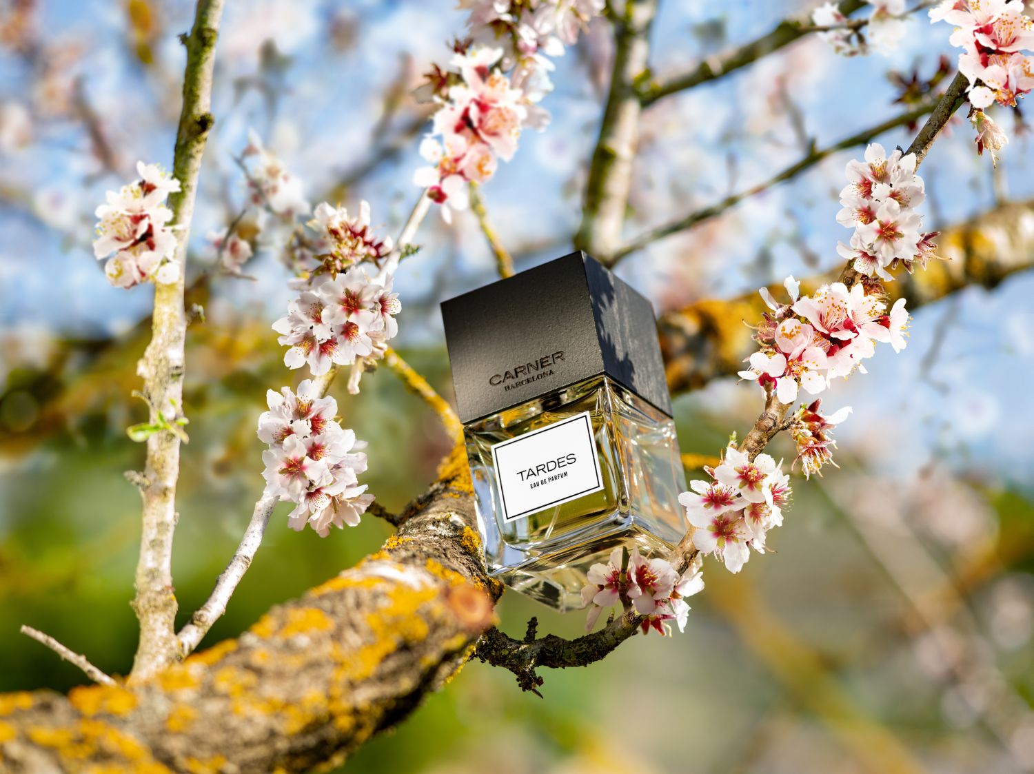 Tardes Eau de Parfum