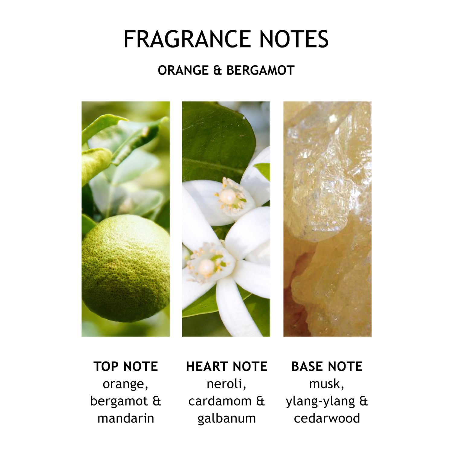 Orange & Bergamot Handcreme