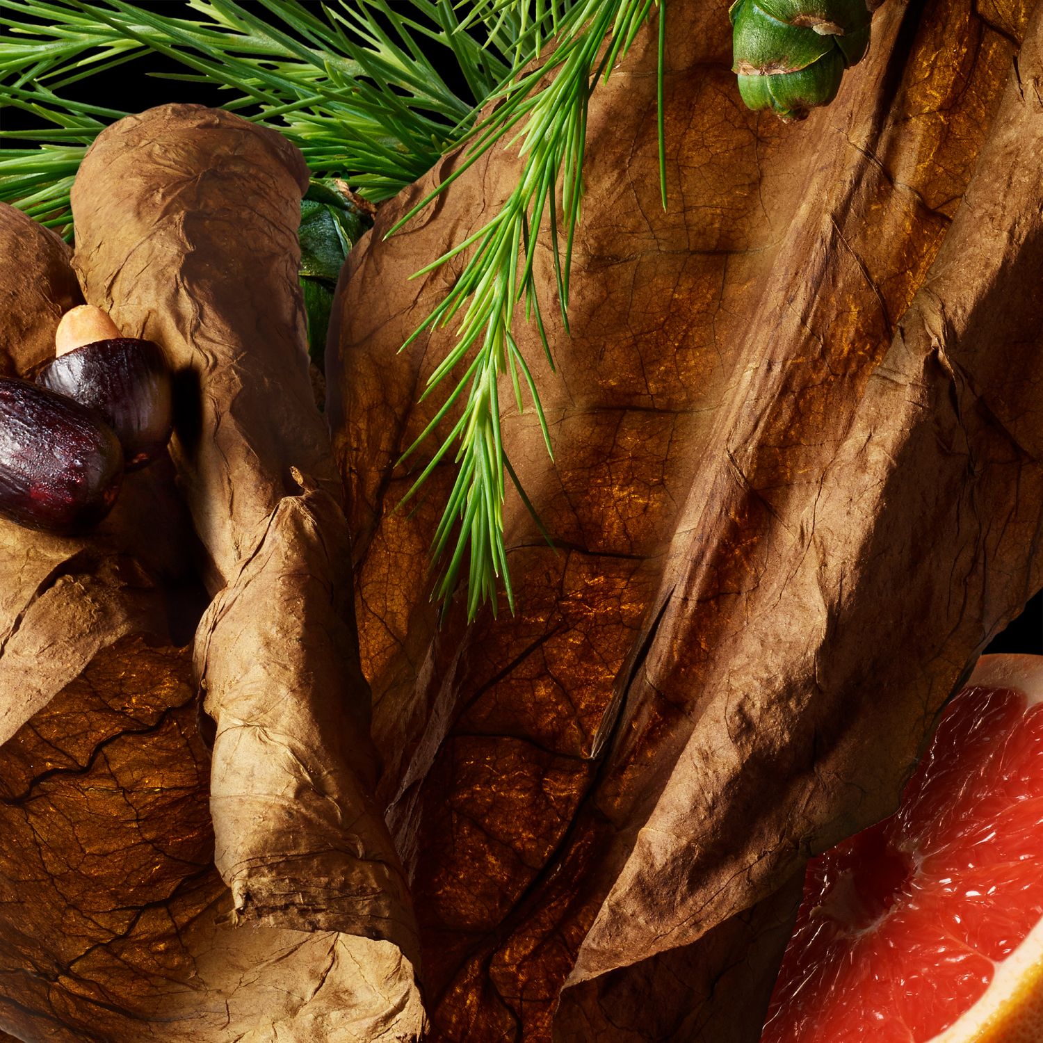 Tobacco Absolute Bade- und Duschgel