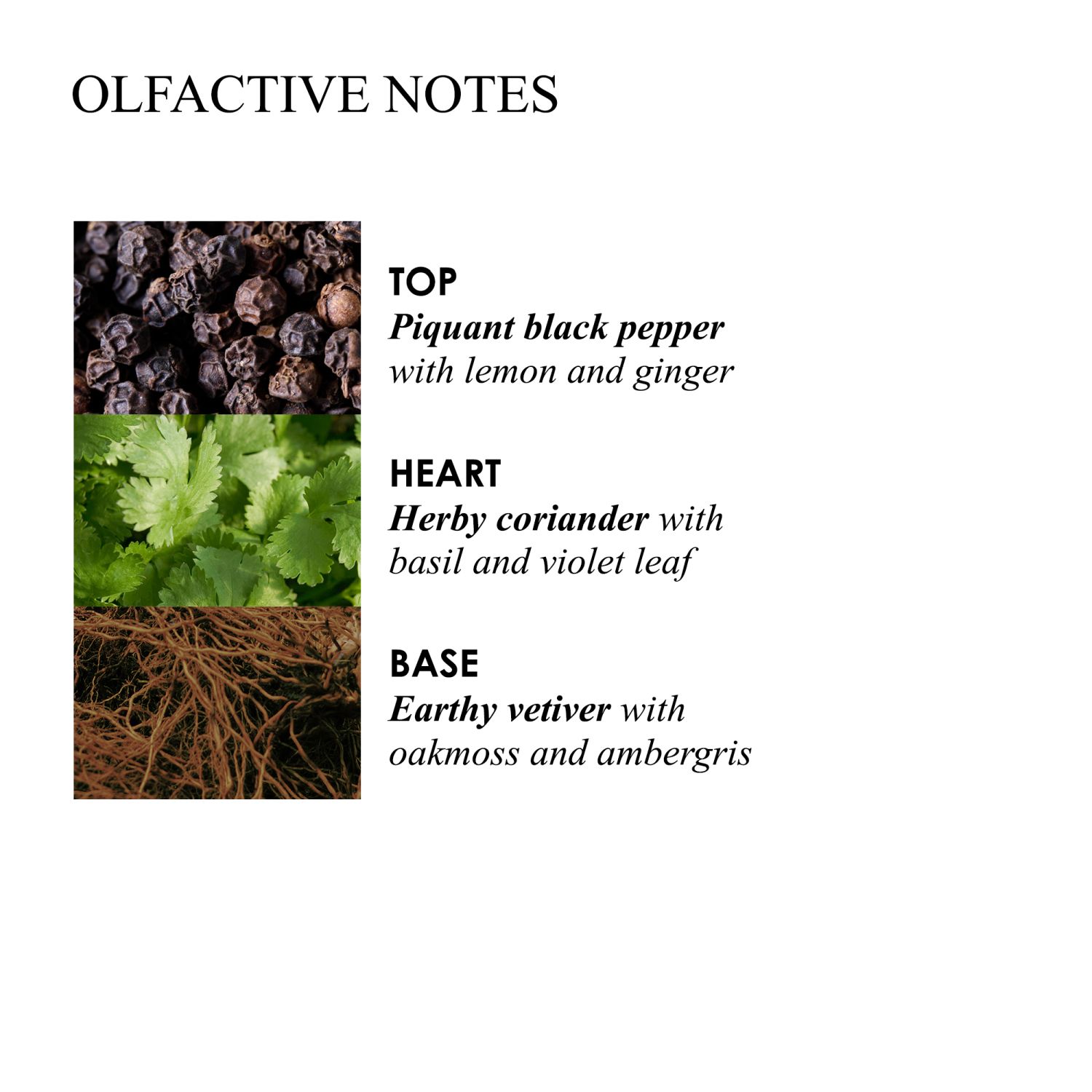 Re-Charge Black Pepper Luxury Scented Candle (Triple Wick)