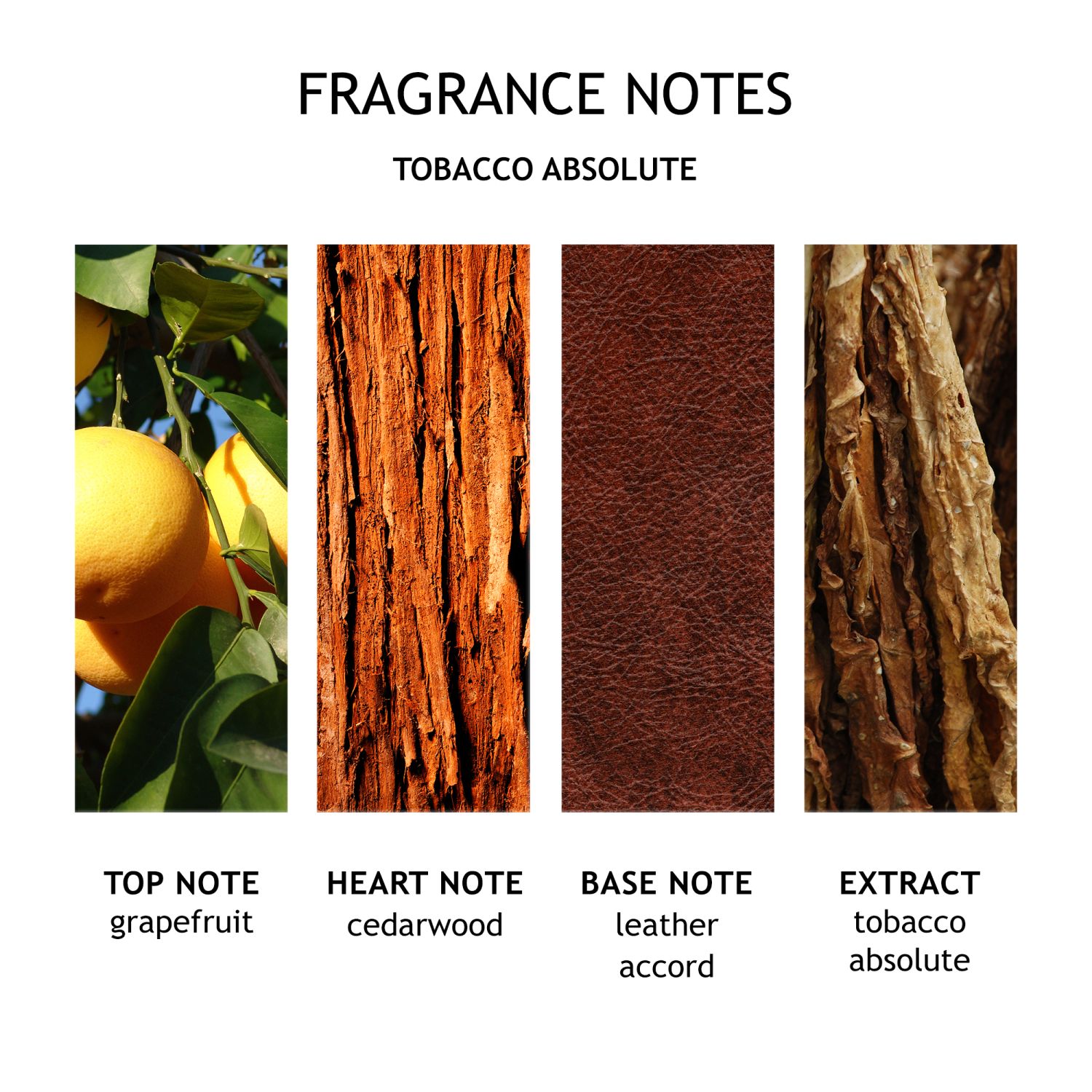 Tobacco Absolute Bade- und Duschgel