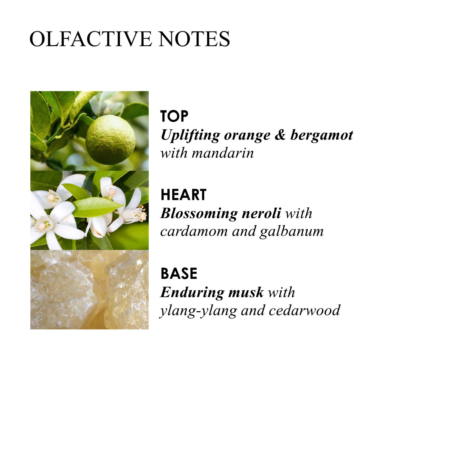 Orange&Bergamot Handcreme