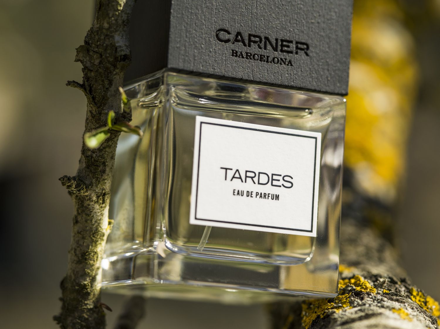 Tardes Eau de Parfum