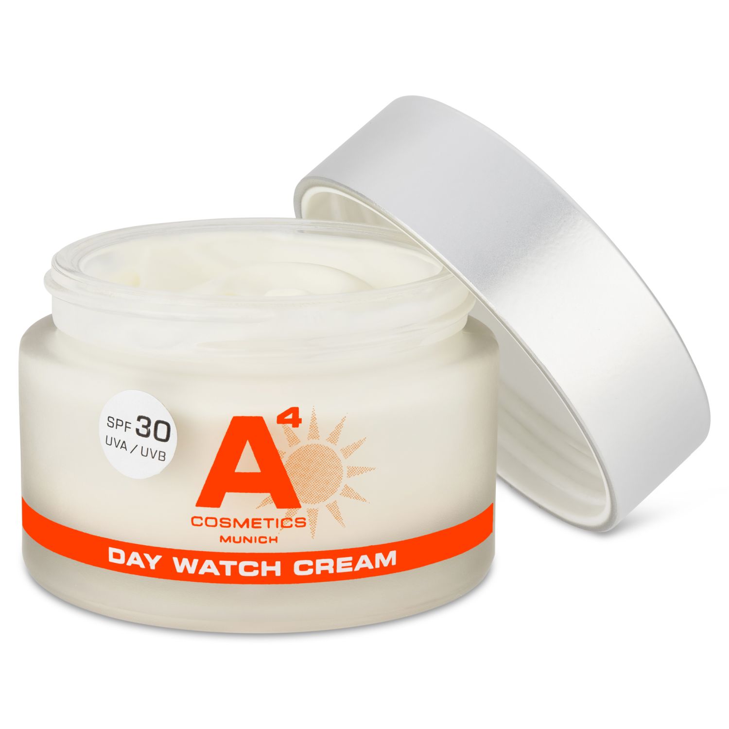 Day Watch
